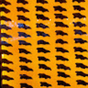 Meet your Posher, Alicia